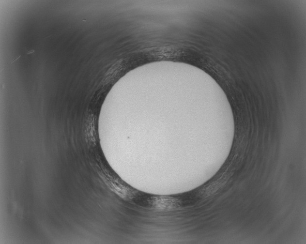 X0000052970336200507300144