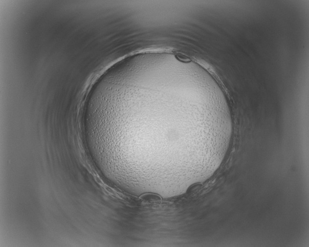 X0000052970337200507300143