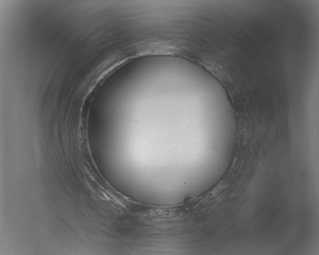 X0000052970338200507300143