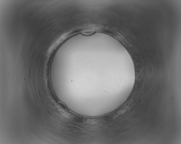 X0000052970341200507300143