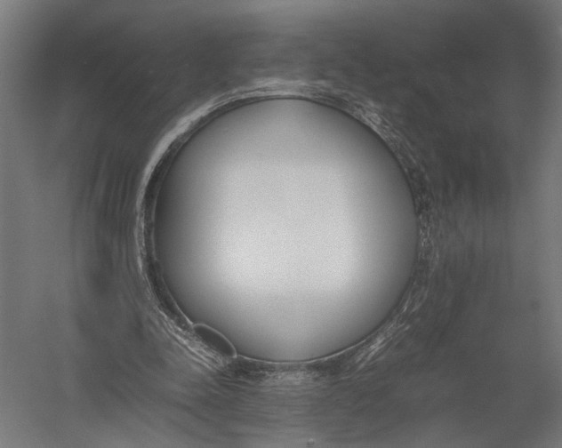 X0000052970342200507300143