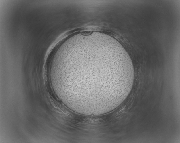 X0000052970343200507300143