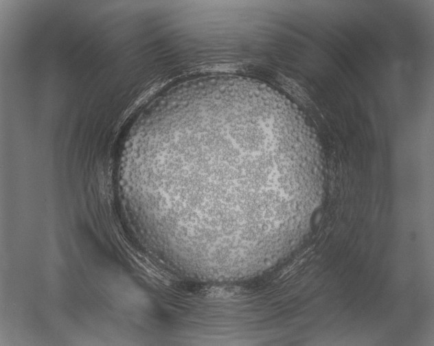 X0000052970346200507300143