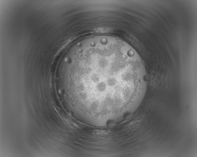 X0000052970347200507300143