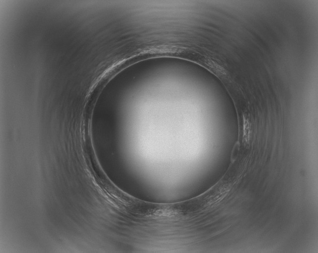 X0000052970348200507300143