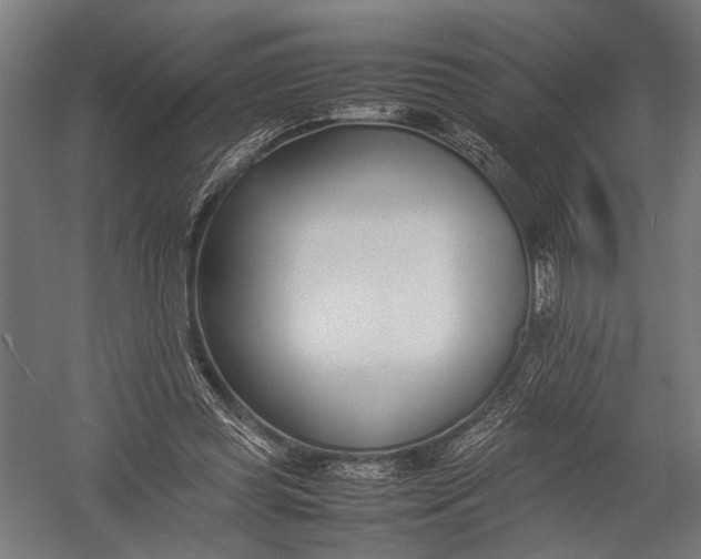 X0000052970349200507300143