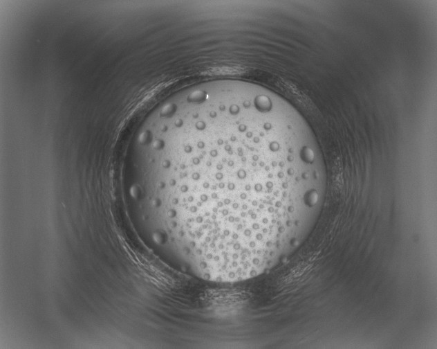 X0000052970351200507300143