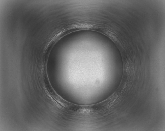 X0000052970352200507300143