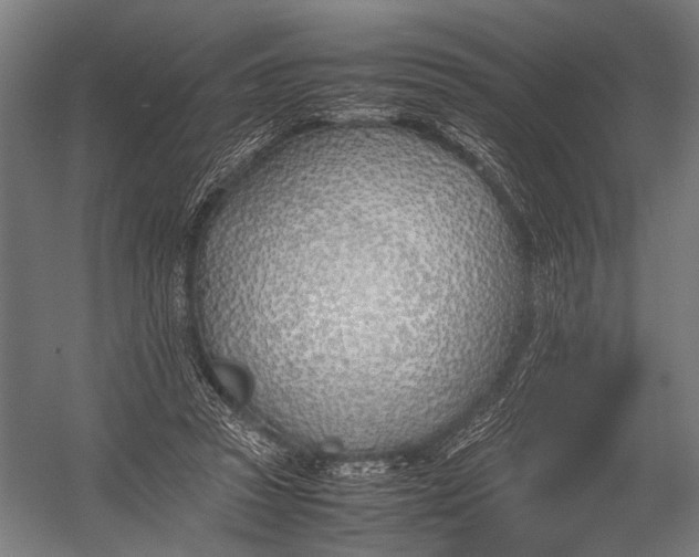 X0000052970353200507300143