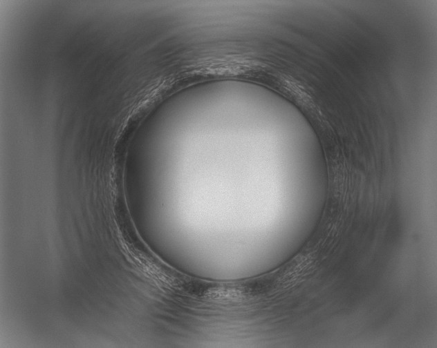 X0000052970354200507300143