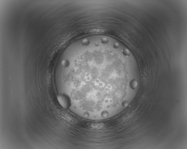 X0000052970355200507300143