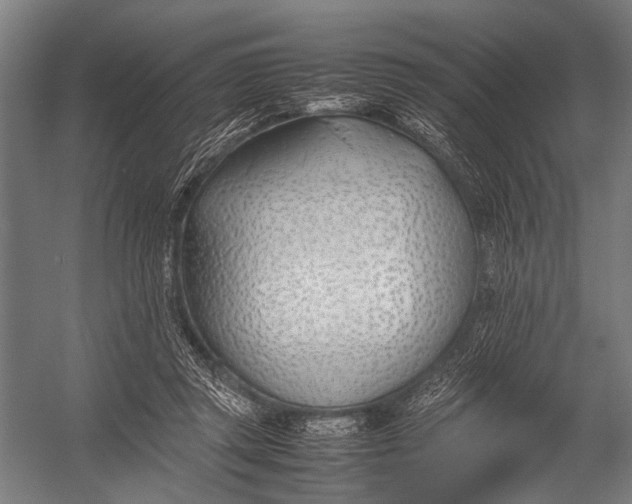 X0000052970357200507300143