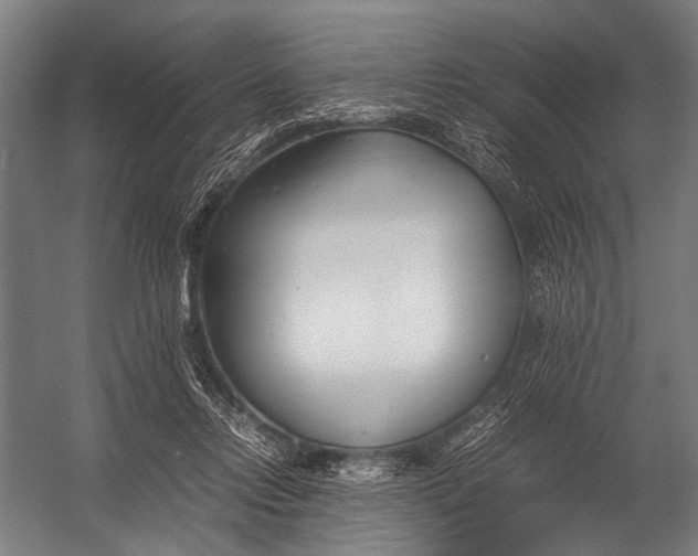 X0000052970358200507300143