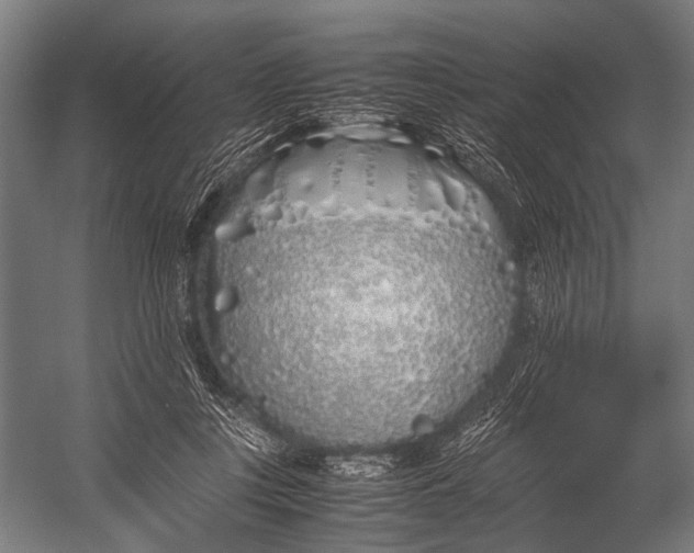 X0000052970359200507300143