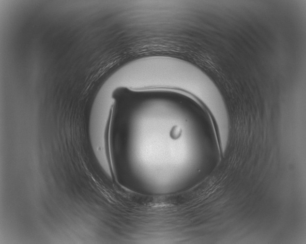 X0000052970360200507300143