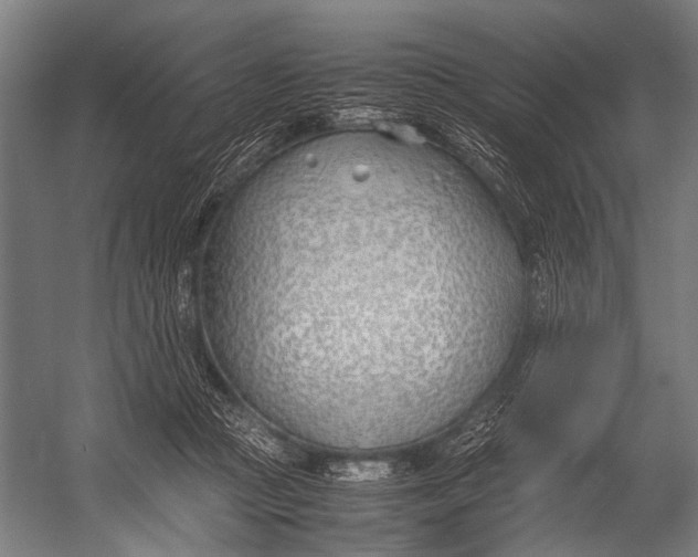 X0000052970361200507300143