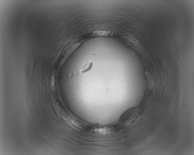 X0000052970365200507300143