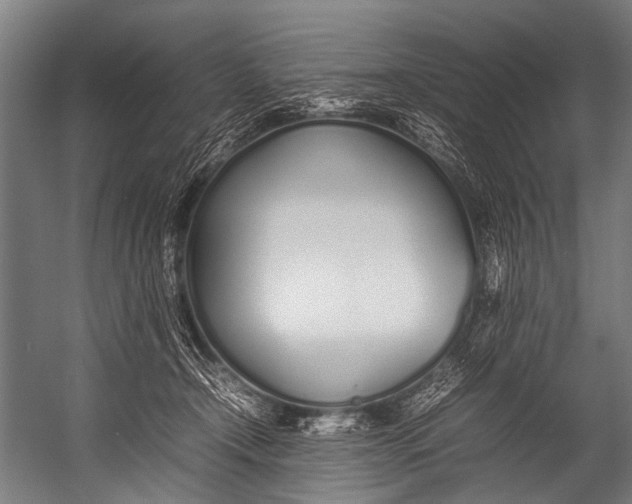 X0000052970366200507300143