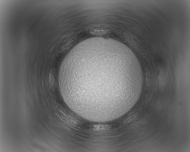 X0000052970371200507300144