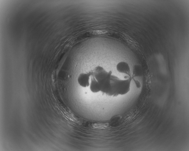 X0000052970373200507300144