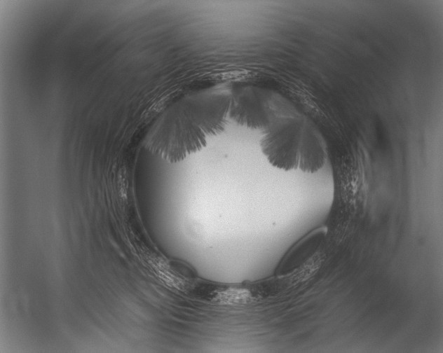 X0000052970374200507300144