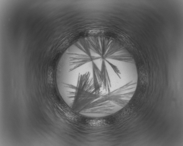 X0000052970375200507300144