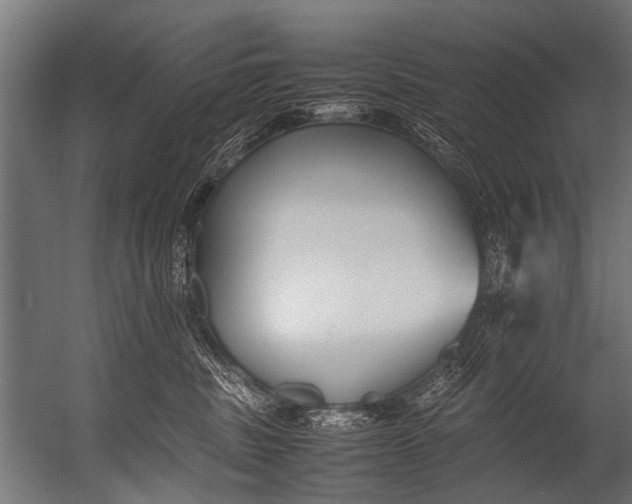 X0000052970379200507300144