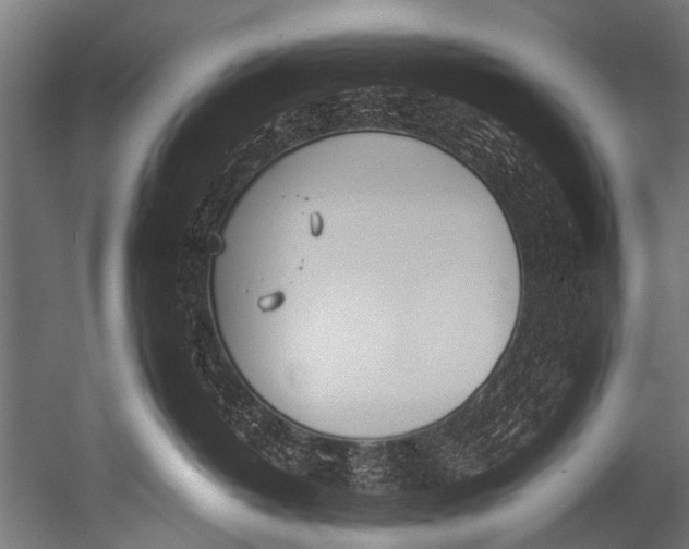 X0000052970382200507300144