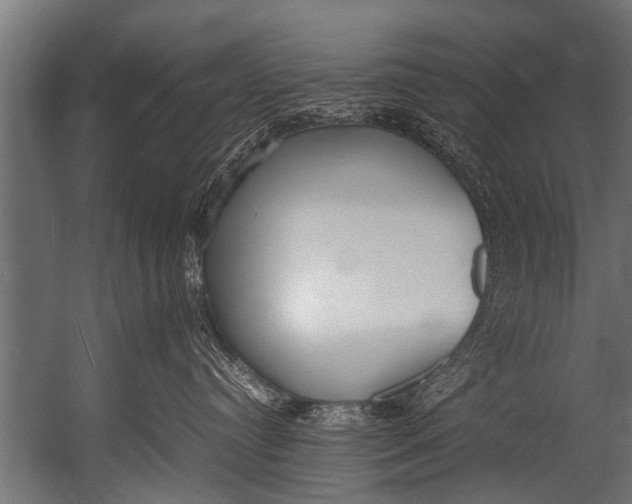 X0000052970384200507300144