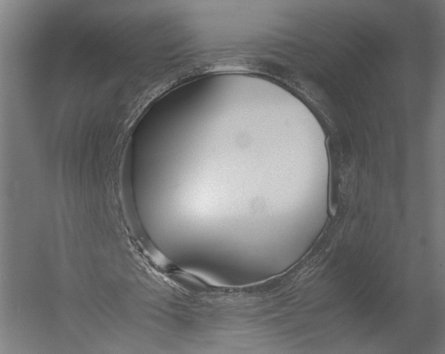 X0000052970385200507300143