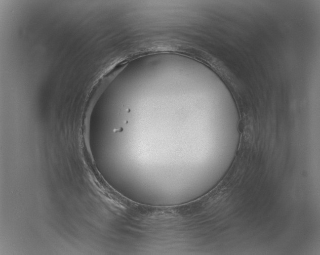 X0000052970386200507300143