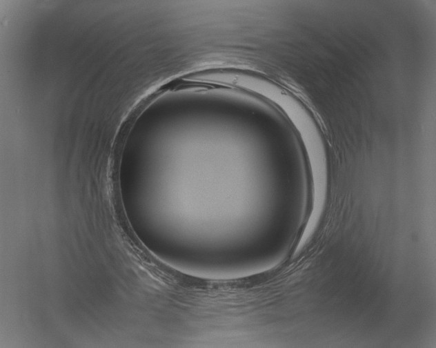 X0000052970387200507300143