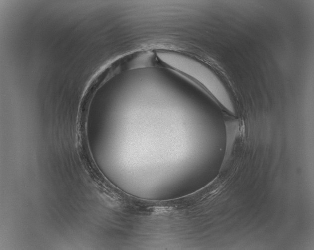 X0000052970388200507300143