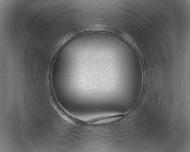 X0000052970389200507300143