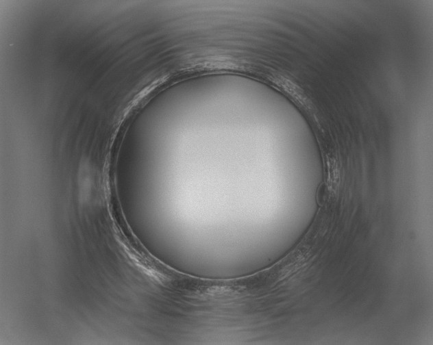 X0000052970390200507300143