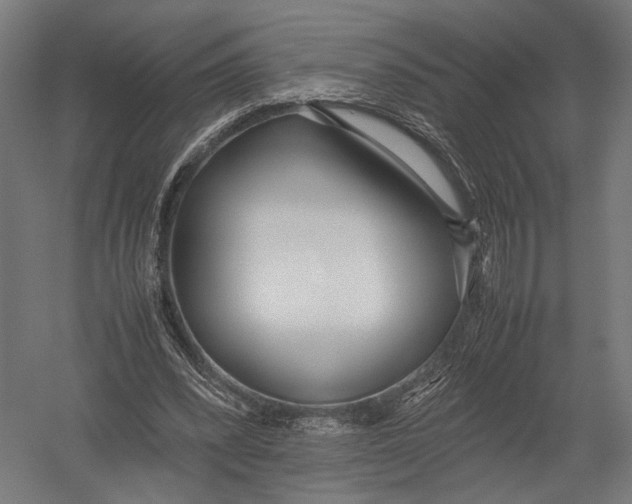 X0000052970392200507300143