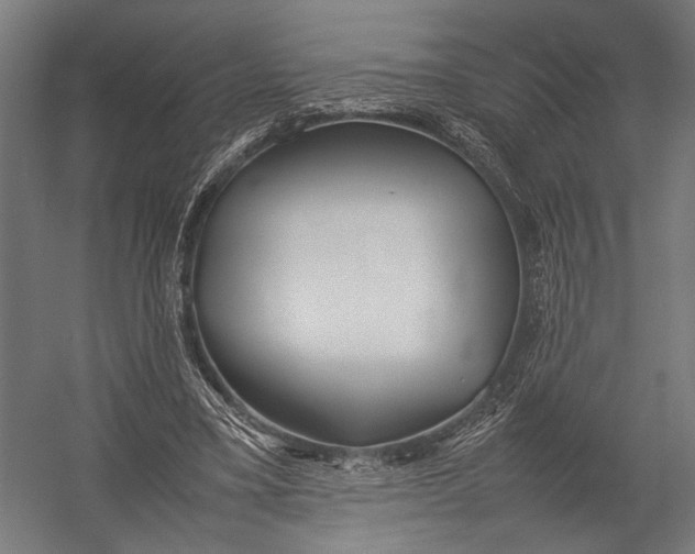 X0000052970395200507300143