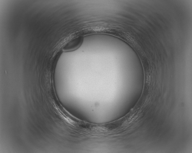 X0000052970397200507300143