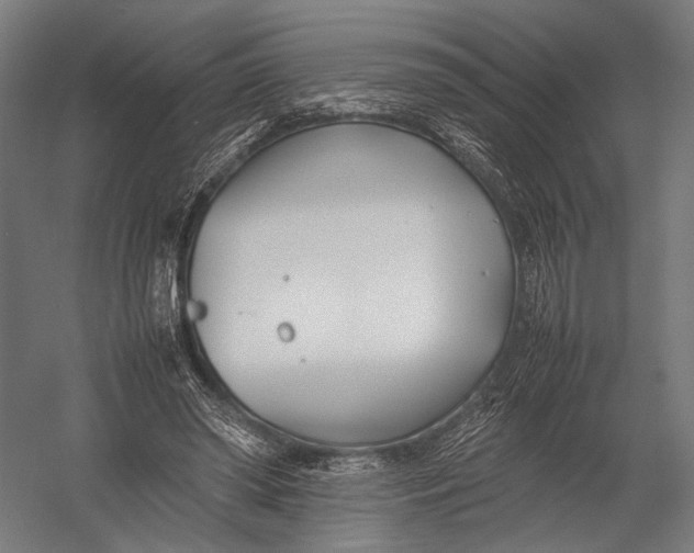 X0000052970398200507300143