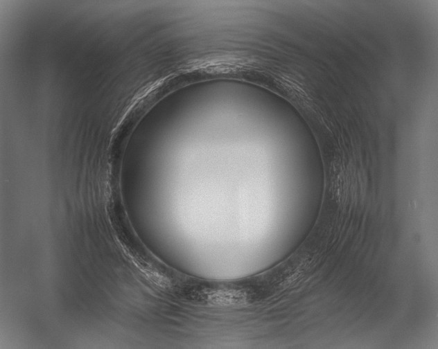 X0000052970400200507300143