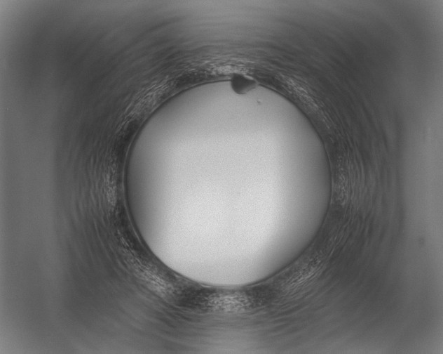 X0000052970402200507300143