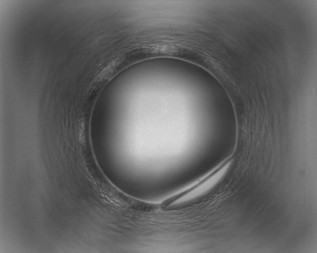 X0000052970403200507300143