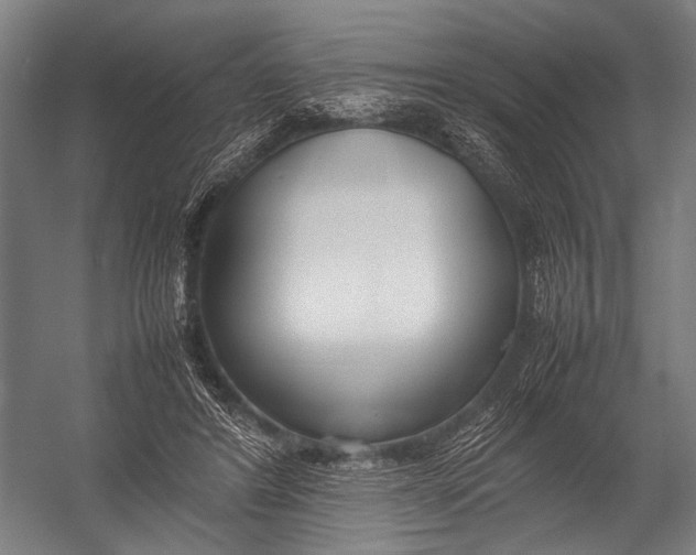 X0000052970404200507300143