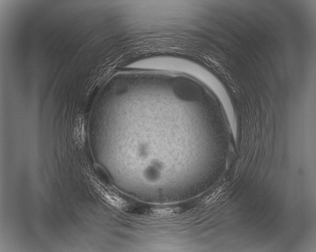 X0000052970405200507300143