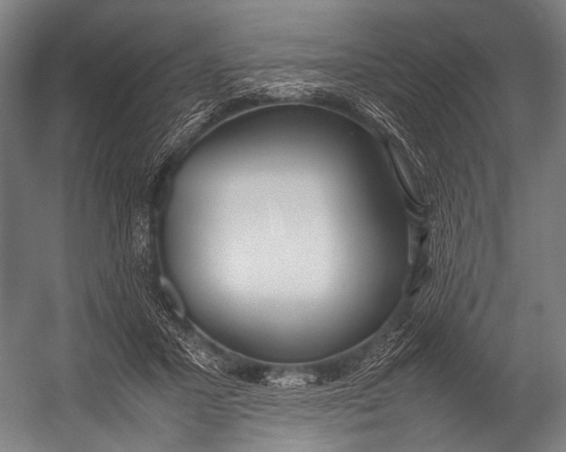 X0000052970407200507300143