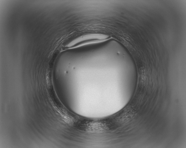 X0000052970408200507300143