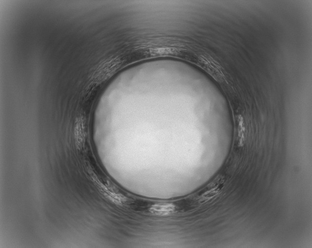 X0000052970410200507300142