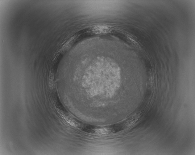 X0000052970411200507300142