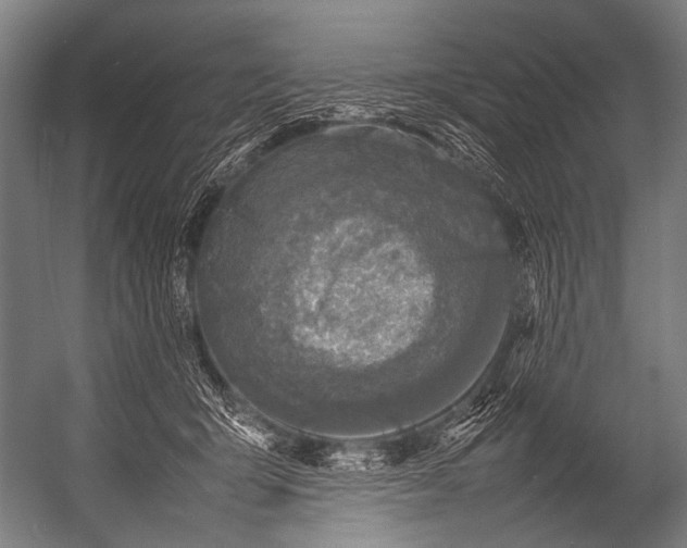 X0000052970415200507300142