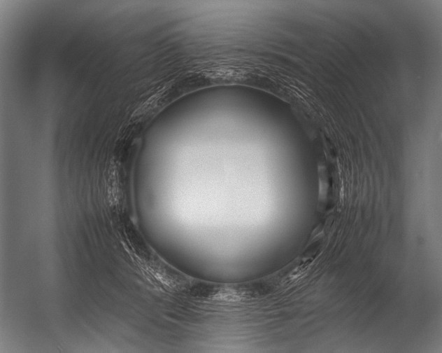 X0000052970416200507300142